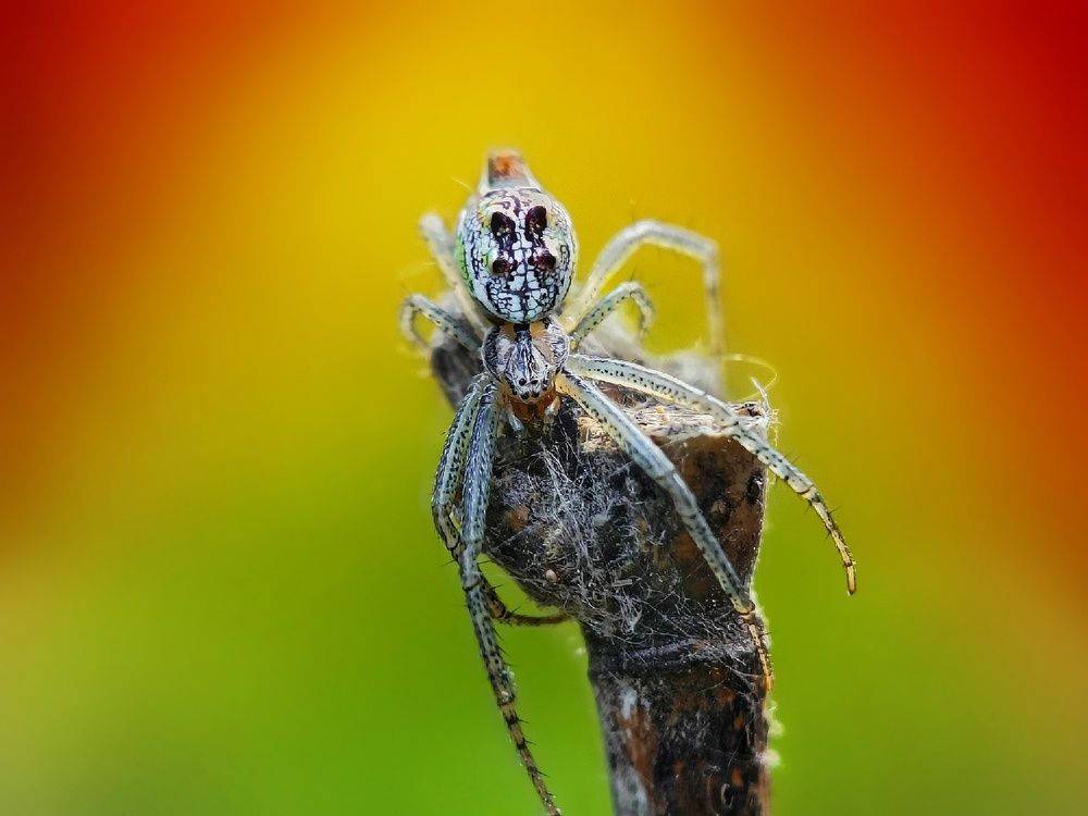 In its own territory