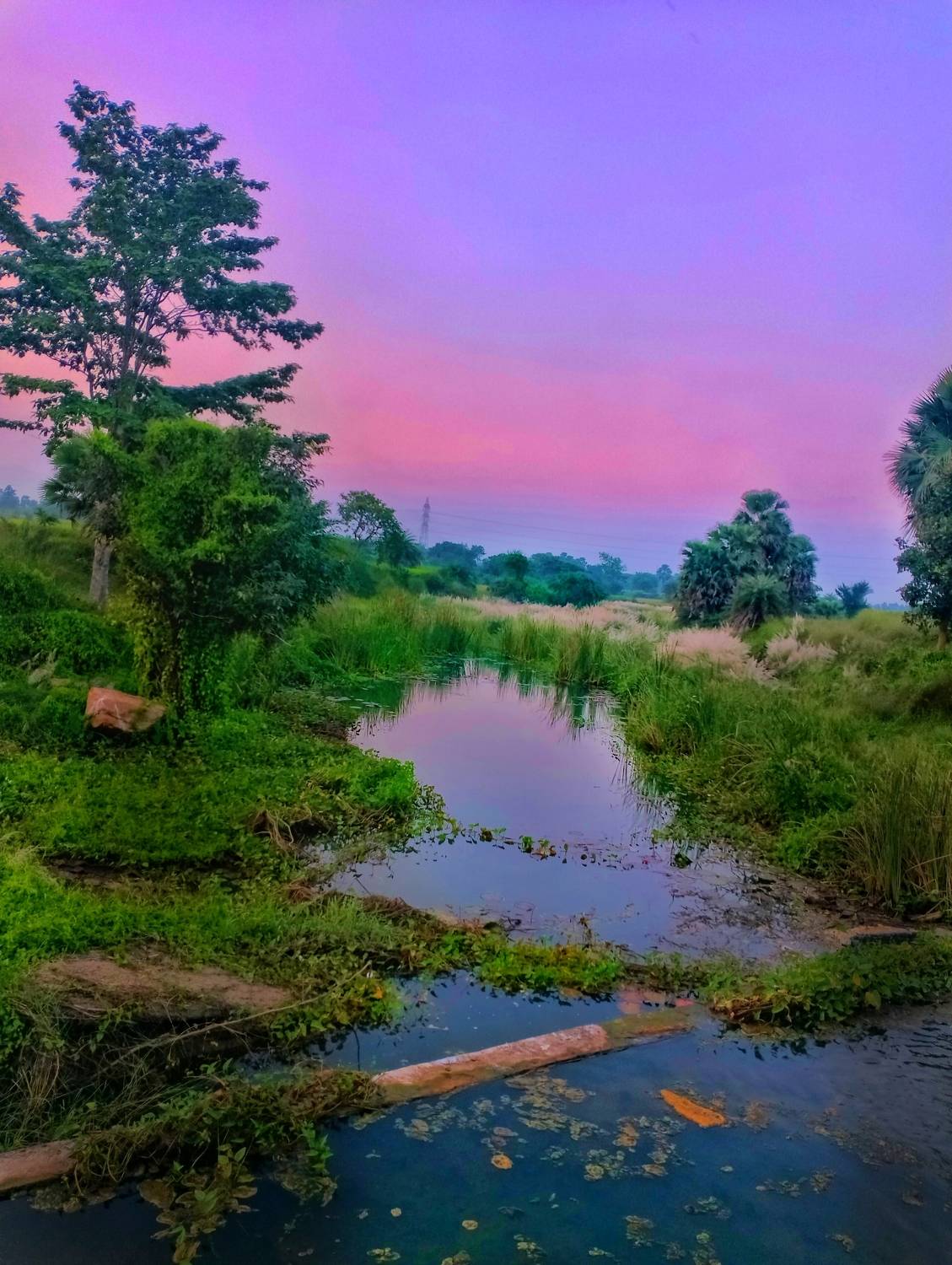 Nature