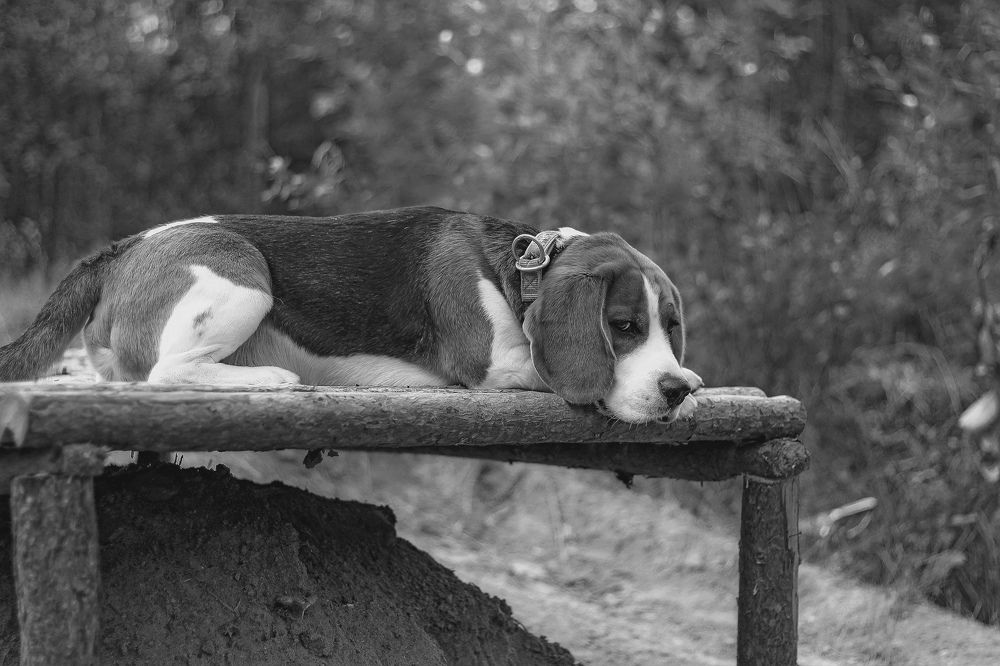 Photograph by Ирина Ахбаш