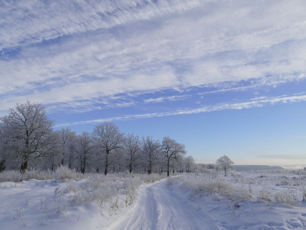 Photograph by Александр Кизим