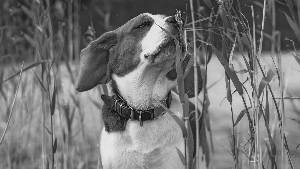 Photograph by Ирина Ахбаш