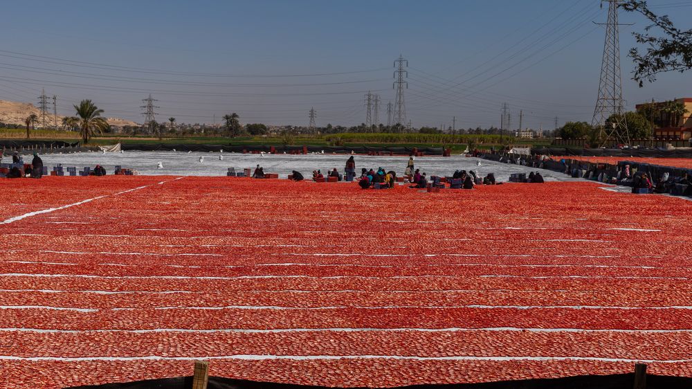 Photograph by Karim Badr