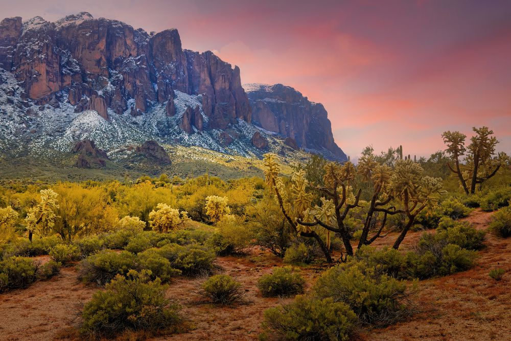 Photograph by Brian Adamson