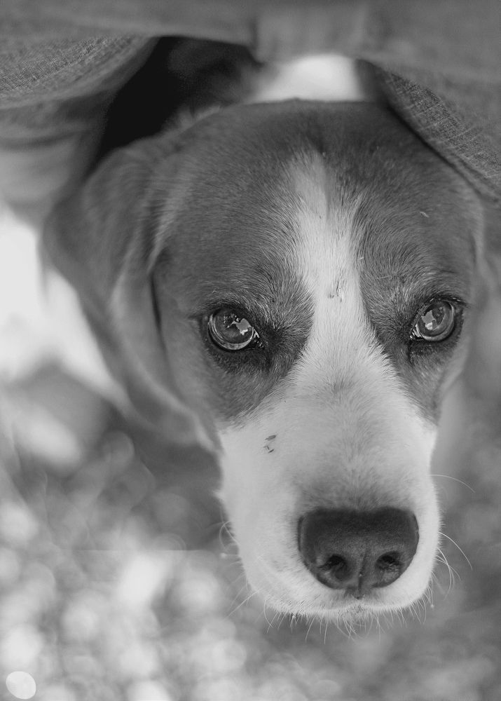 Photograph by Ирина Ахбаш