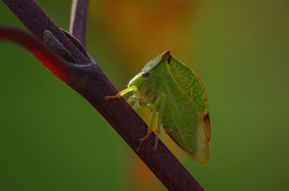 Photograph by Андрей Бурда
