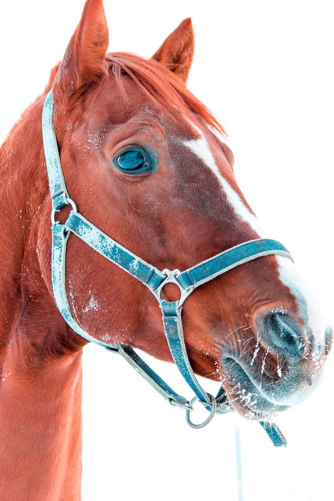 Photograph by огурцов иван