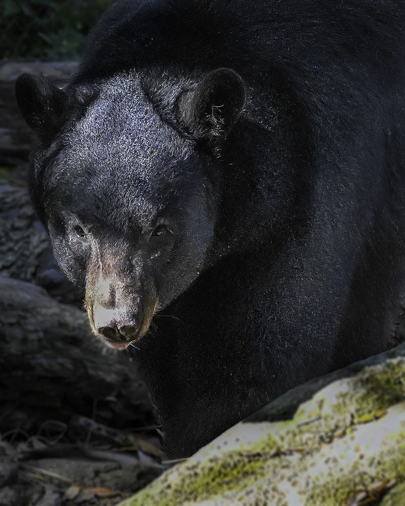 Фотография автора Raymond Asiala