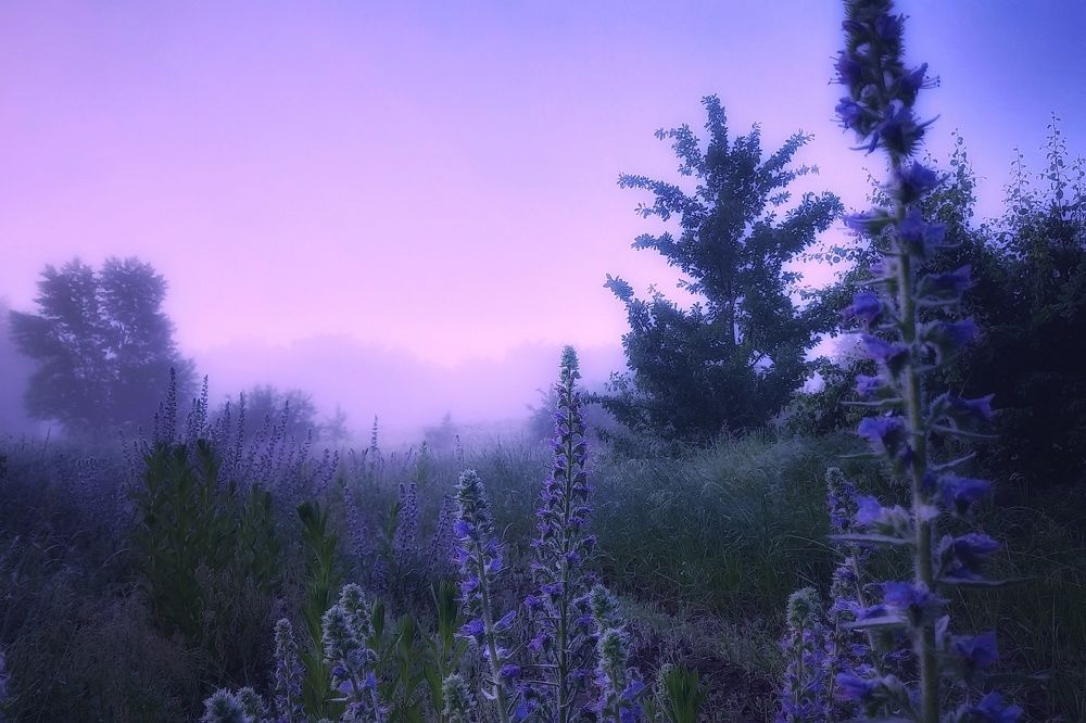 Photograph by Наталия Щербакова