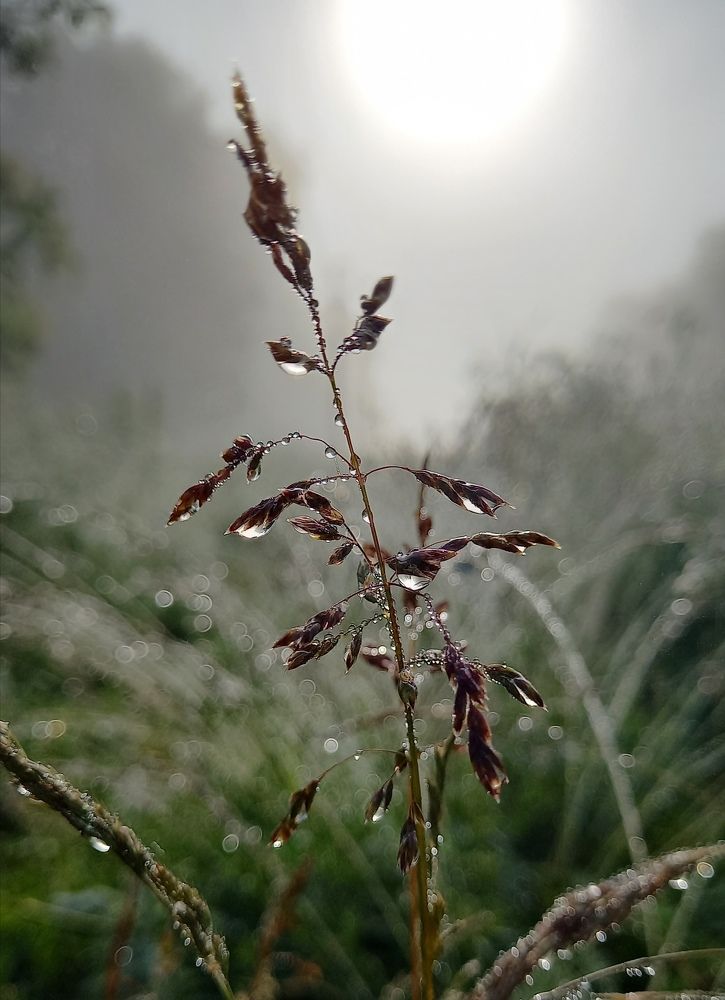 Photograph by Наталия Щербакова