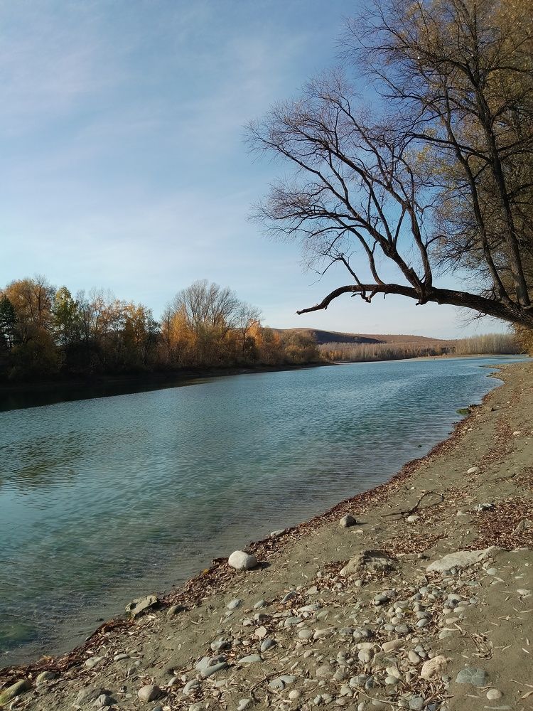 Photograph by Наталья БАЛАБАЕВА