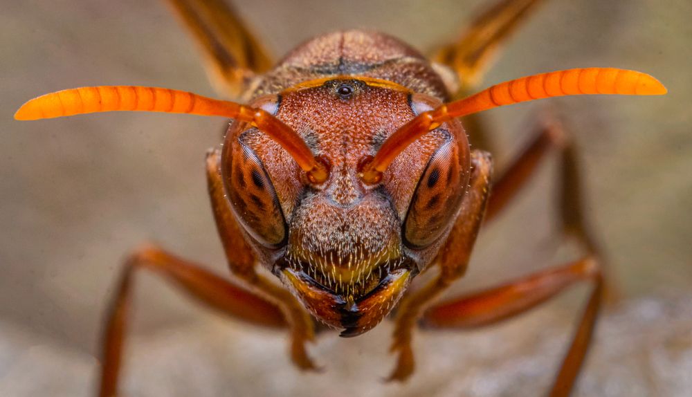 Фотография автора Abhinand R V