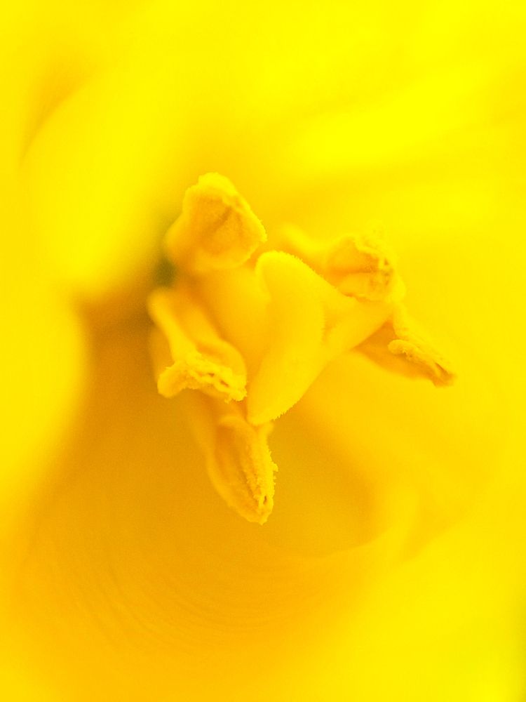 Photograph by Наталья Вололовцева