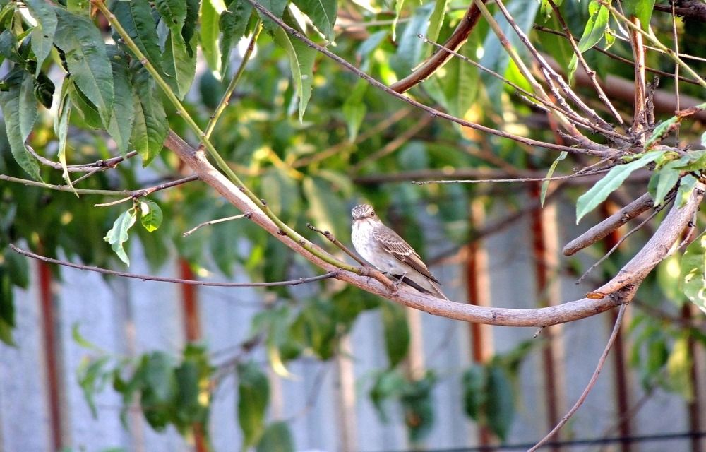 Photograph by Аспан