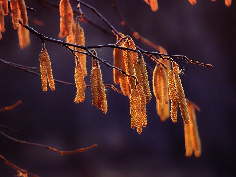 Photograph by Владимир