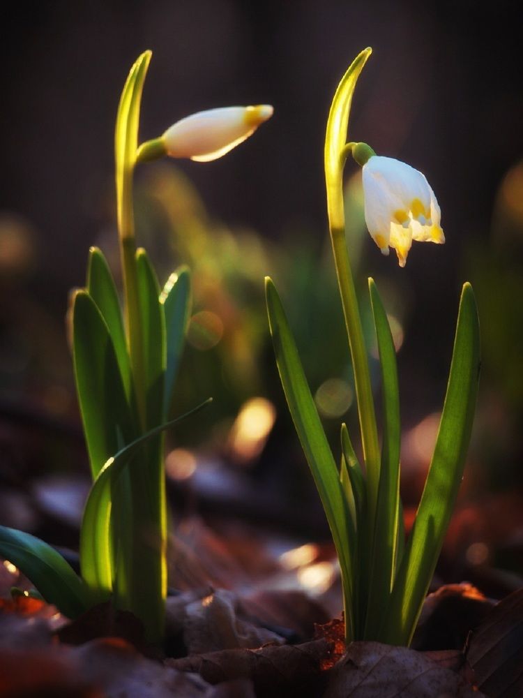 Photograph by Владимир