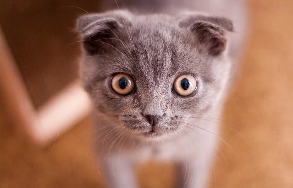 Photograph by Мария Александрова