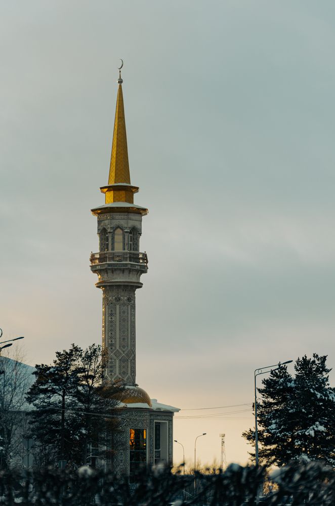 Photograph by Wileys