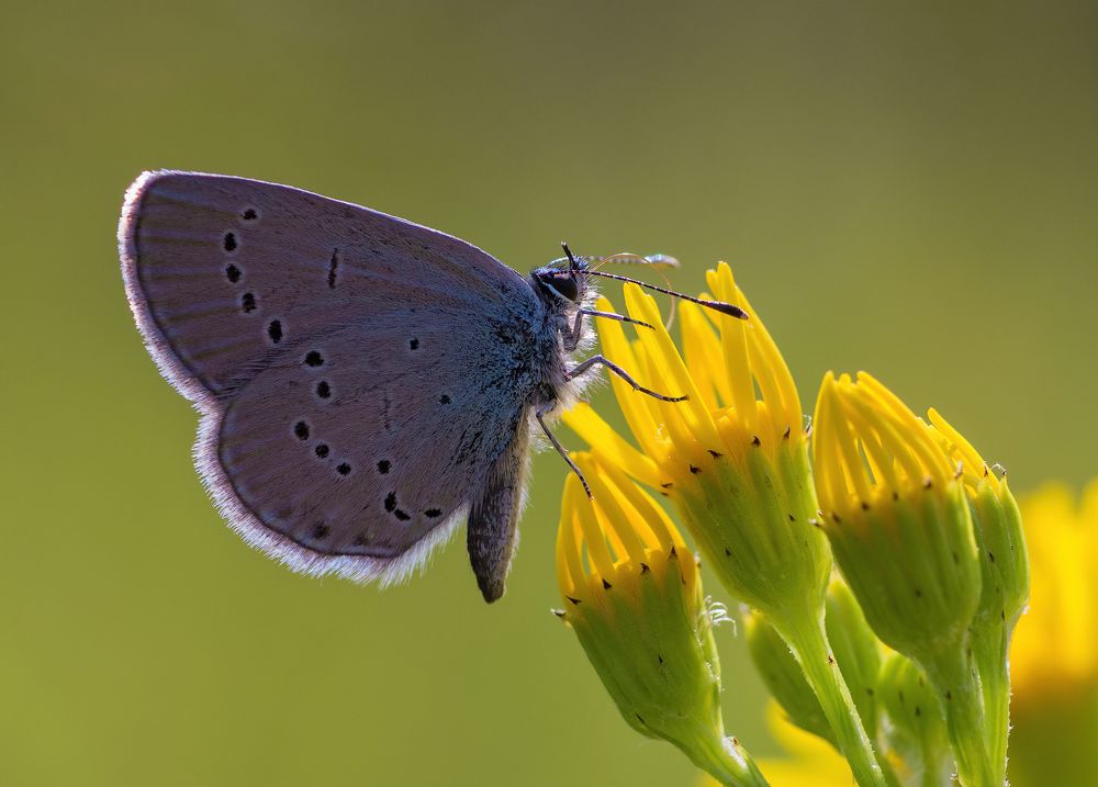 Photograph by Андрей Бурда