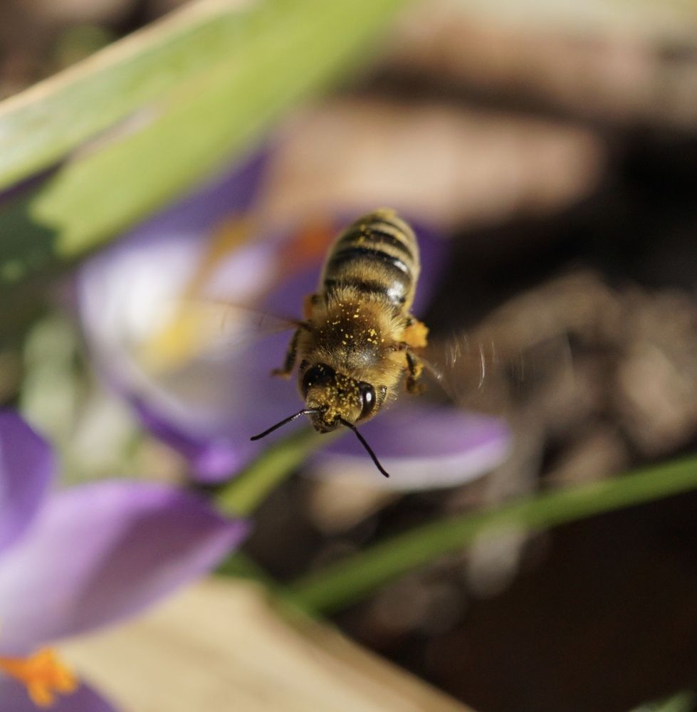 Фотография автора Liudmila Kiermeier