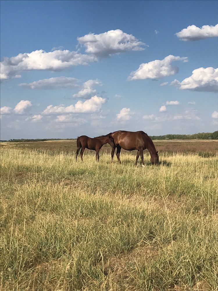Photograph by Болат Сарсенбаев