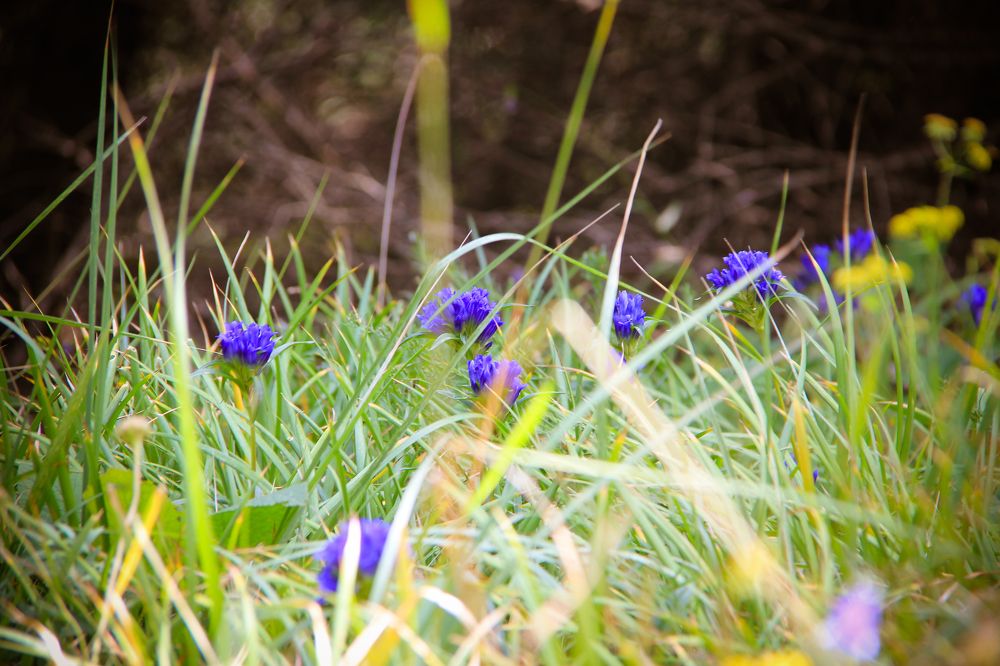 Photograph by Кондратьева Василика