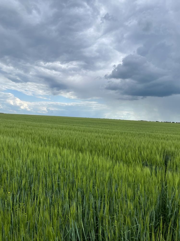 Photograph by Юлия Давшан