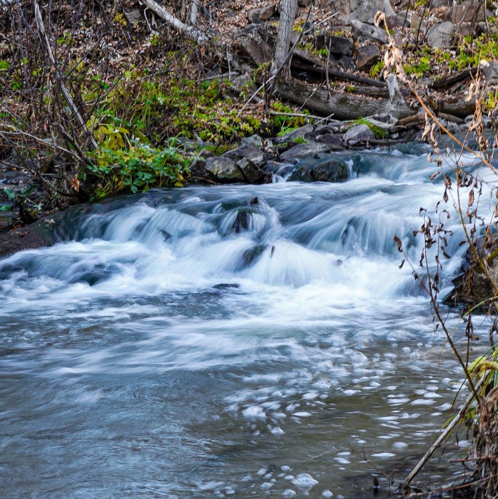 Фотография автора Максим Грибанов