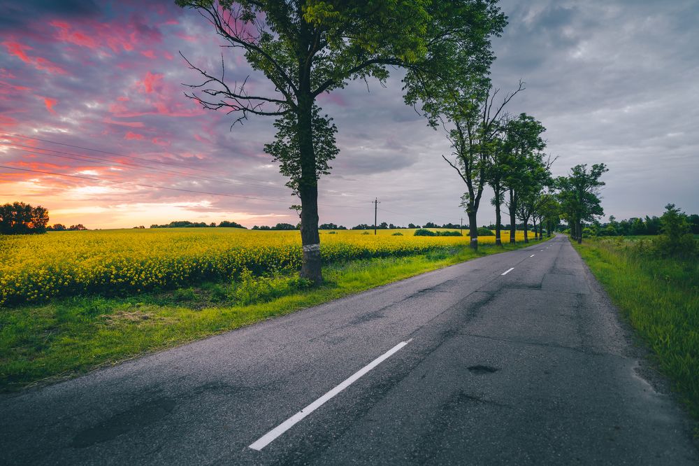 Photograph by Максим Мальцев