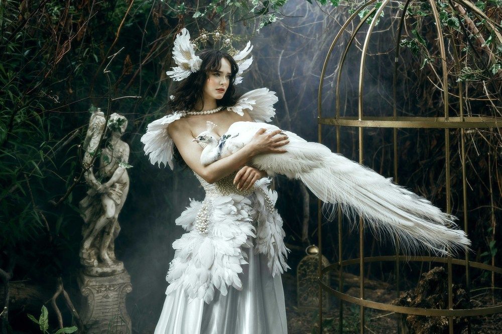 Photograph by Hossam Menna