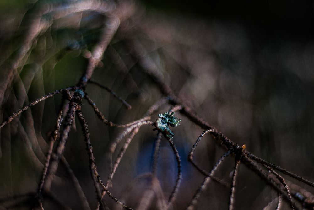 Photograph by Матвей Вершинин