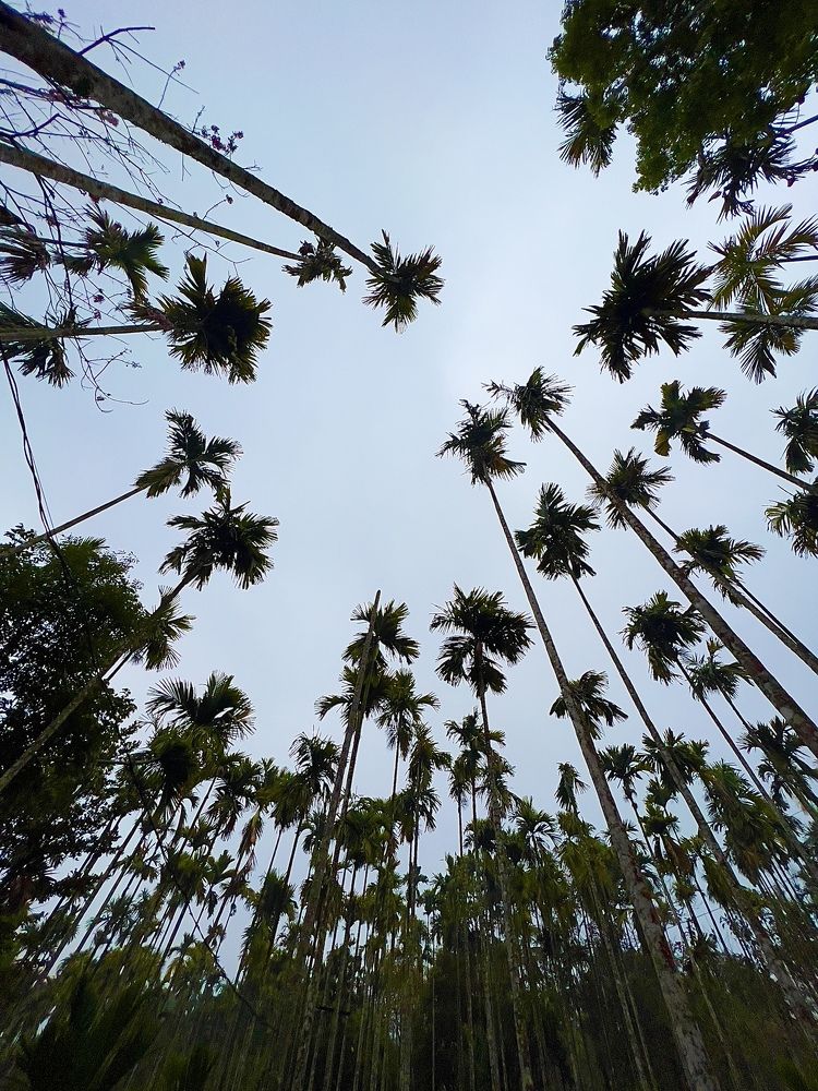 Photograph by amn_graphy_