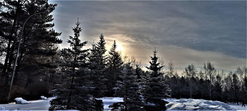 Photograph by Николай Худяков