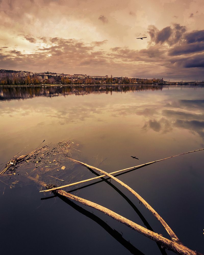 Photograph by Lucia Correia