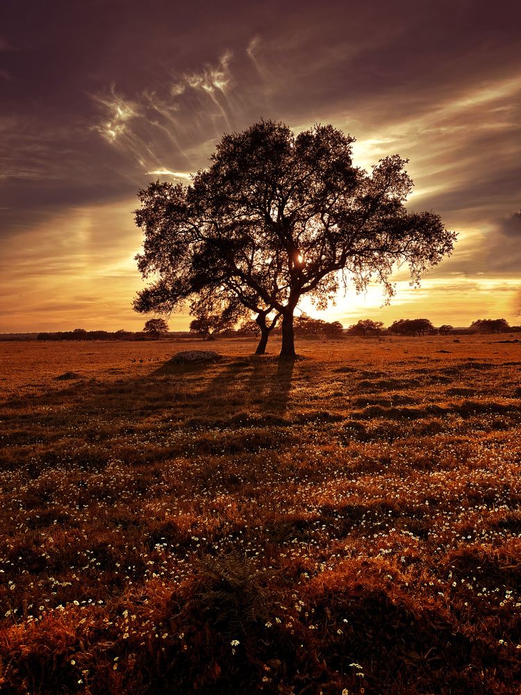 Photograph by Lucia Correia