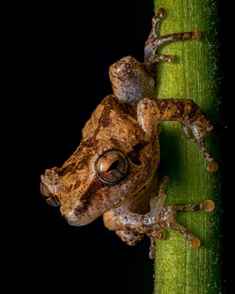 Фотография автора Abhinand R V