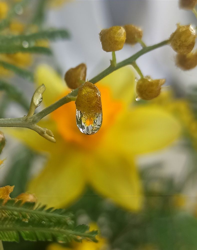 Photograph by Ольга Тихонова