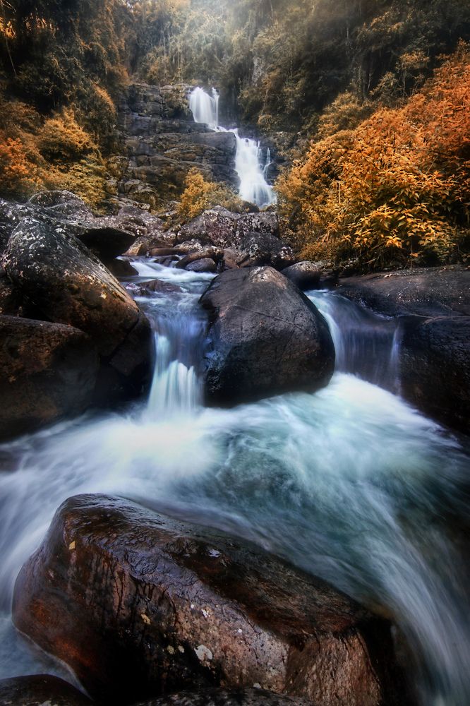 Photograph by Amila Hewagama