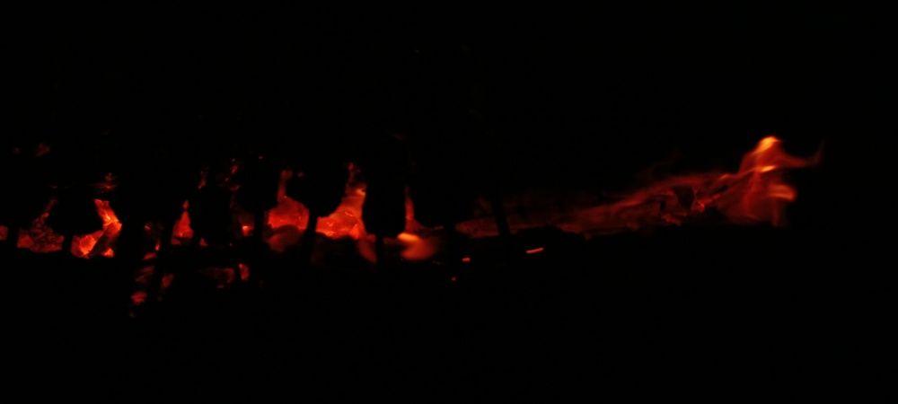 Фотография автора Bahaaddin Saber