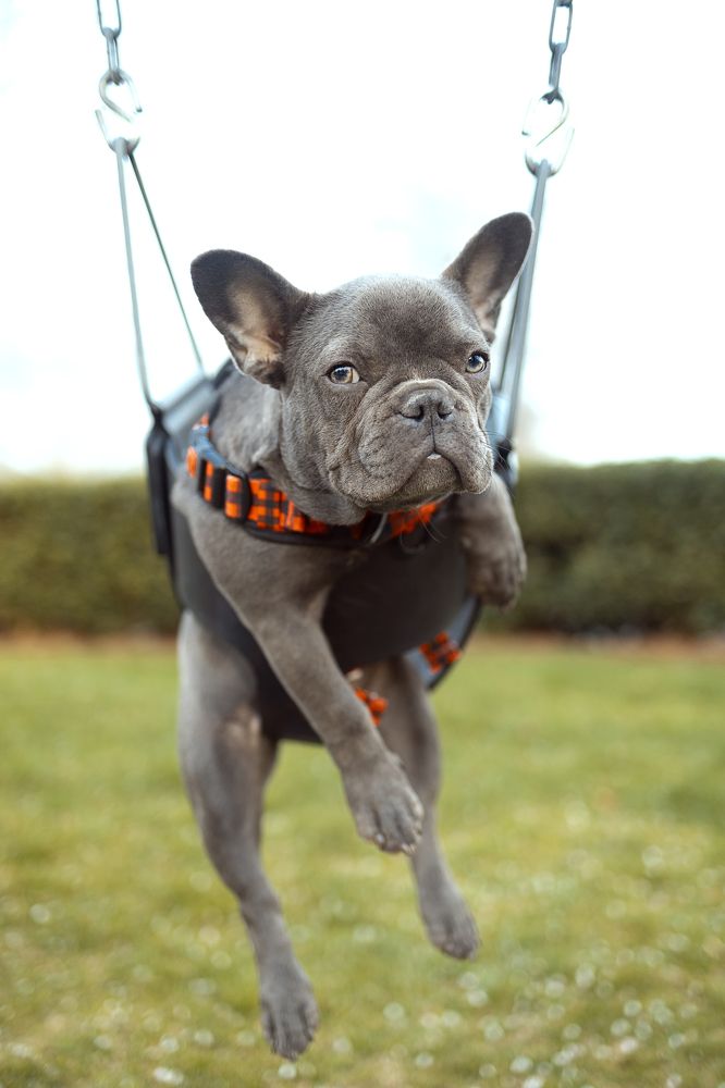 Photograph by Anastasiia Eliseeva