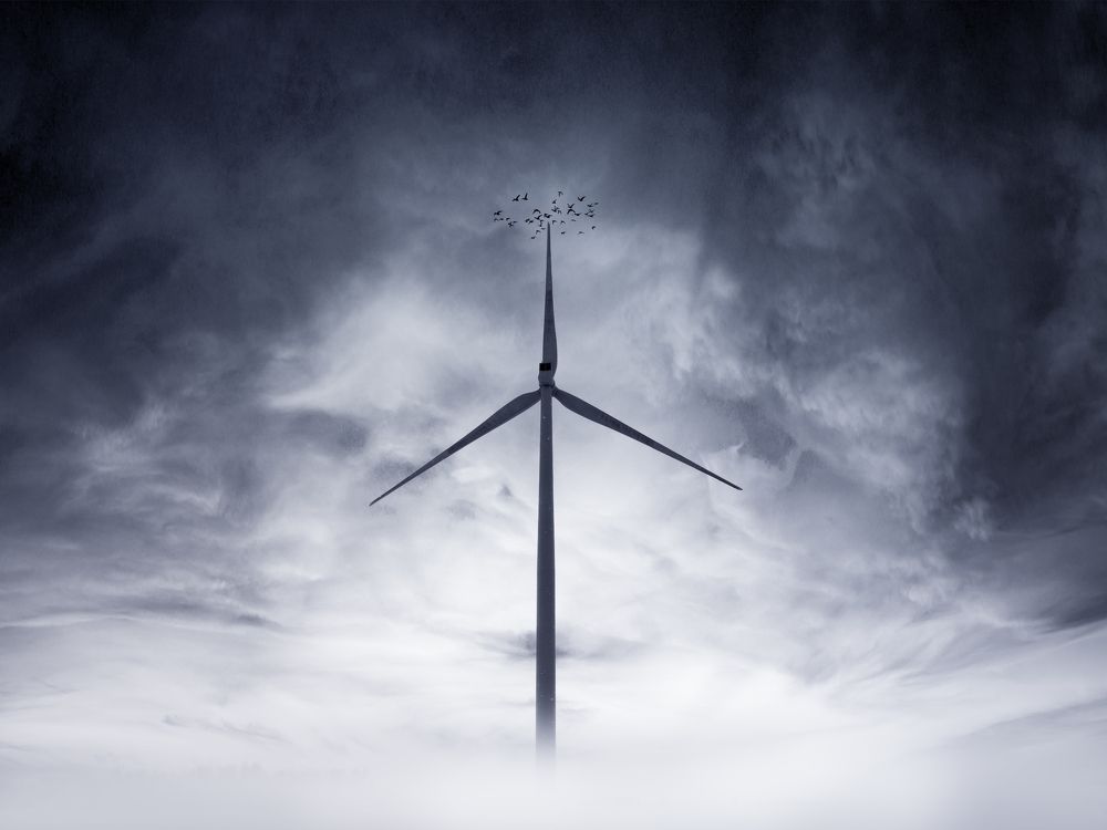 Photograph by Raghuvamsh Chavali