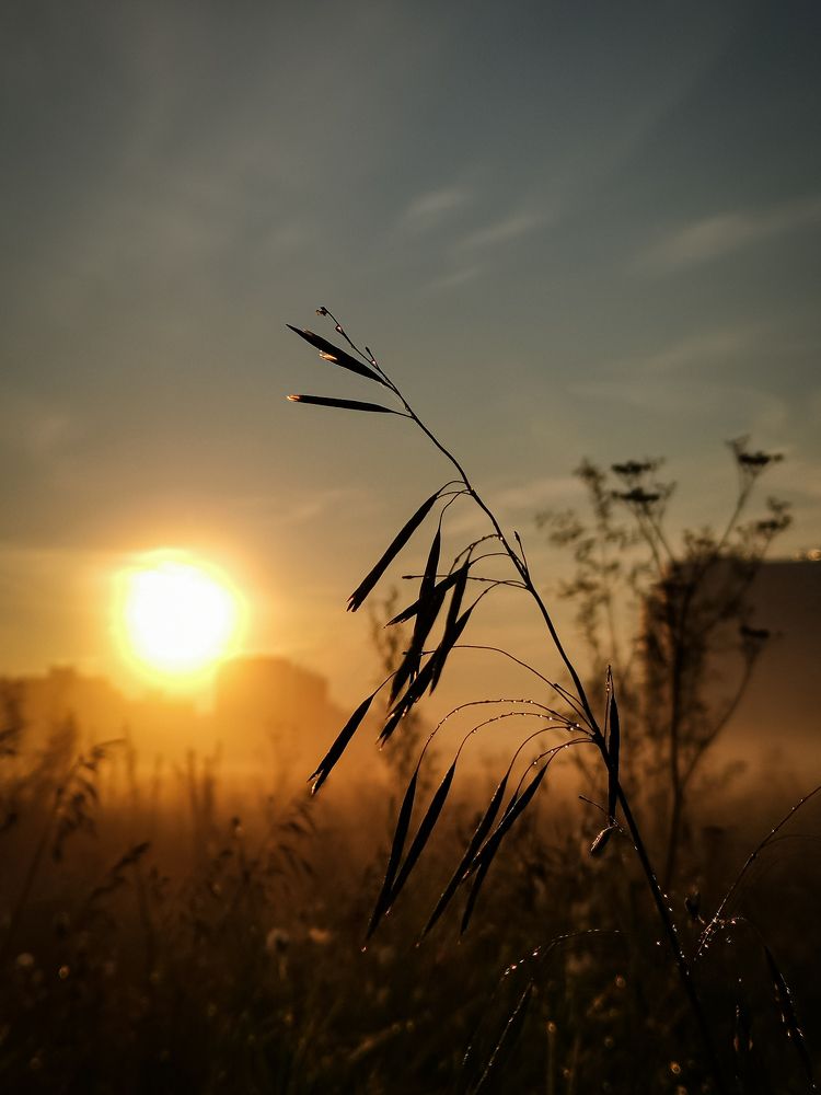 Photograph by Алёна Красова