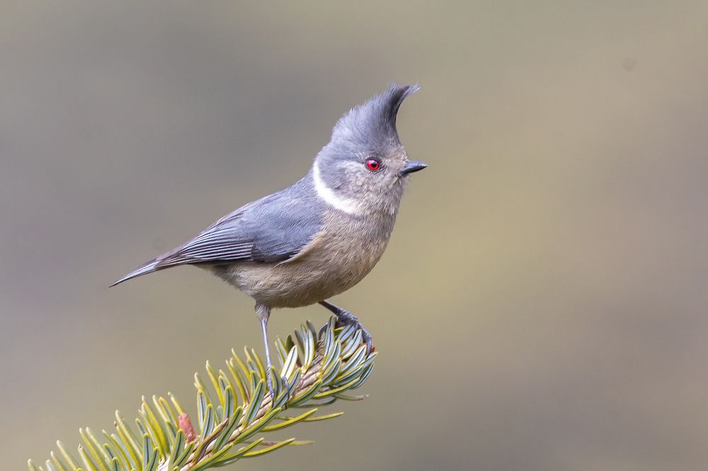 Photograph by Власов Егор