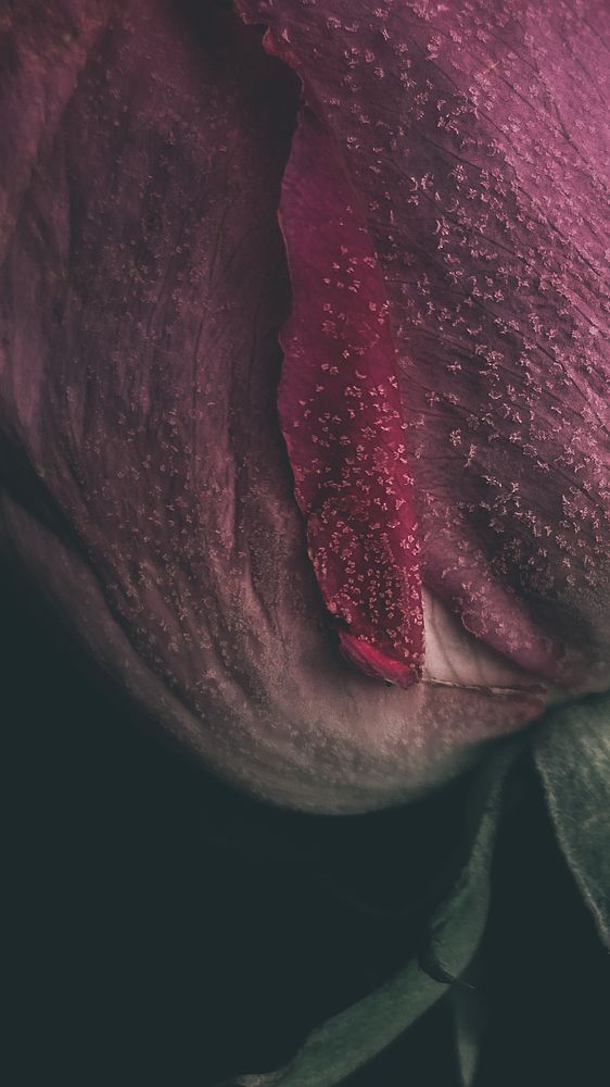 Photograph by Анна Фаюстова