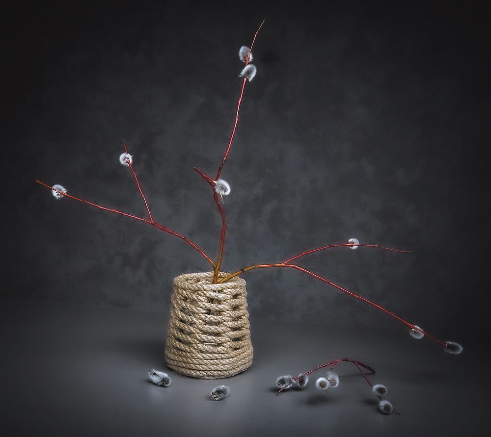 Веточка вербы