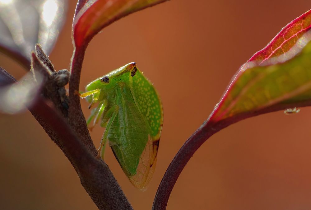 Photograph by Андрей Бурда