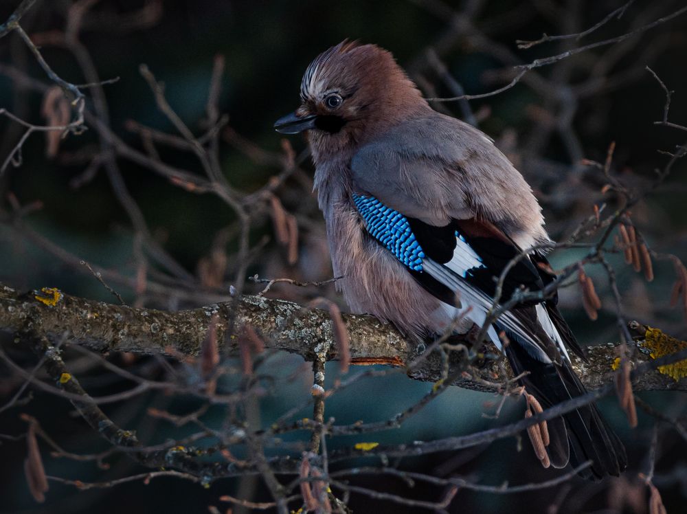 Photograph by Курлянцев Алексей