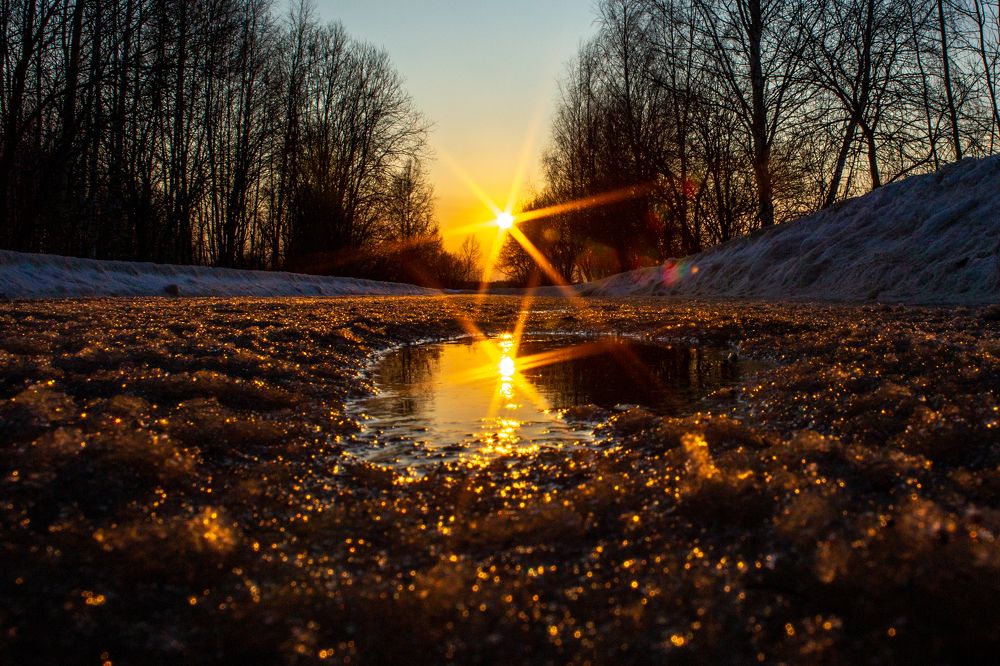 Photograph by Сергей Шестов