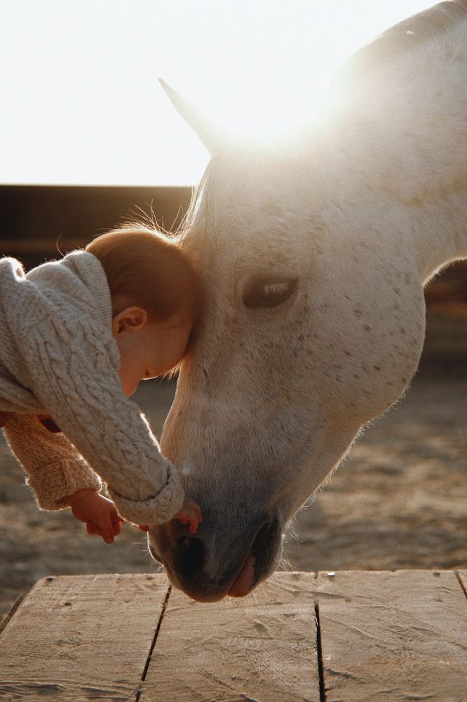 Photograph by Анна