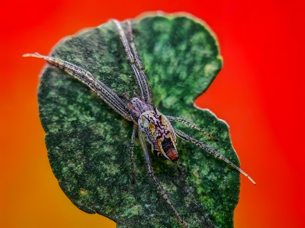 Photograph by Sritam Kumar Sethy