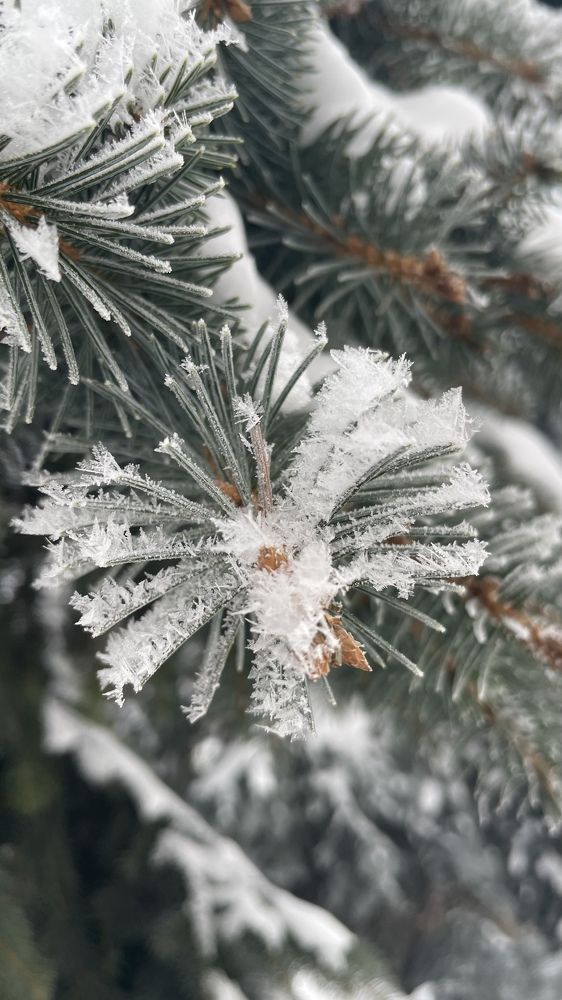 Photograph by Елизавета Большакова